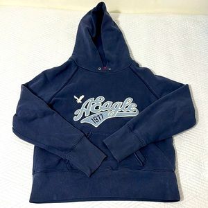 Vintage American eagle hoodie